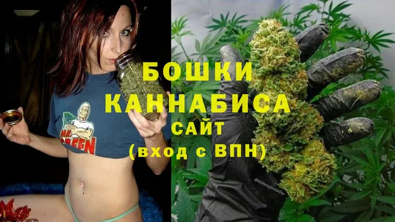 Бошки Шишки SATIVA & INDICA  KRAKEN tor  Кинешма 